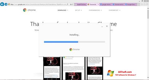 Captura de pantalla Google Chrome Offline Installer para Windows 7