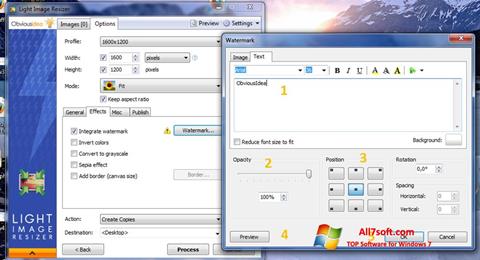 Captura de pantalla Light Image Resizer para Windows 7