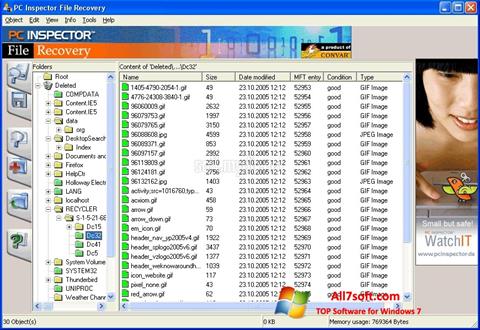 Captura de pantalla PC Inspector File Recovery para Windows 7