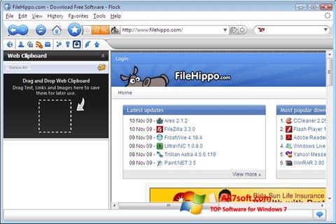 Captura de pantalla Flock para Windows 7