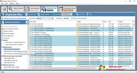 Captura de pantalla Duplicate Cleaner para Windows 7