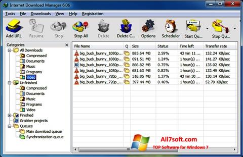 Captura de pantalla Internet Download Manager para Windows 7