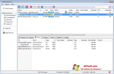 Captura de pantalla BitTorrent para Windows 7