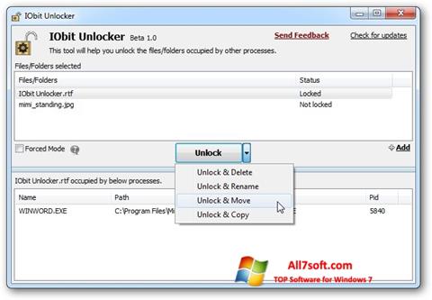 Captura de pantalla IObit Unlocker para Windows 7