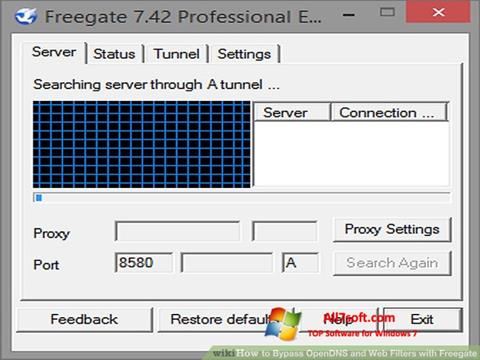 Captura de pantalla Freegate para Windows 7