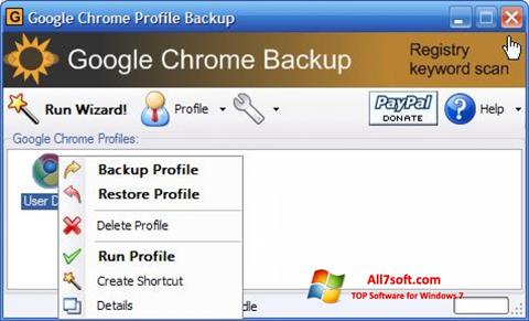 Captura de pantalla Google Chrome Backup para Windows 7