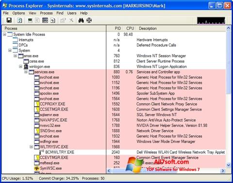 Captura de pantalla Process Explorer para Windows 7