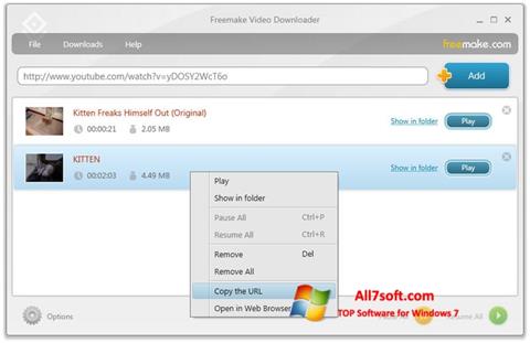 Captura de pantalla Freemake Video Downloader para Windows 7